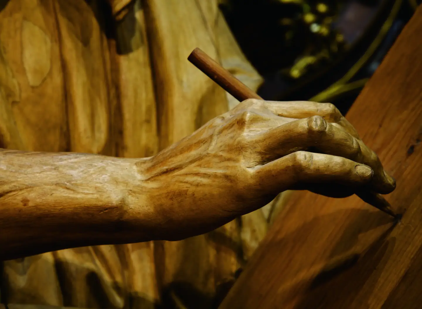 Photo N Rajotte 2009 01 21 MG 0992 Version 2 B