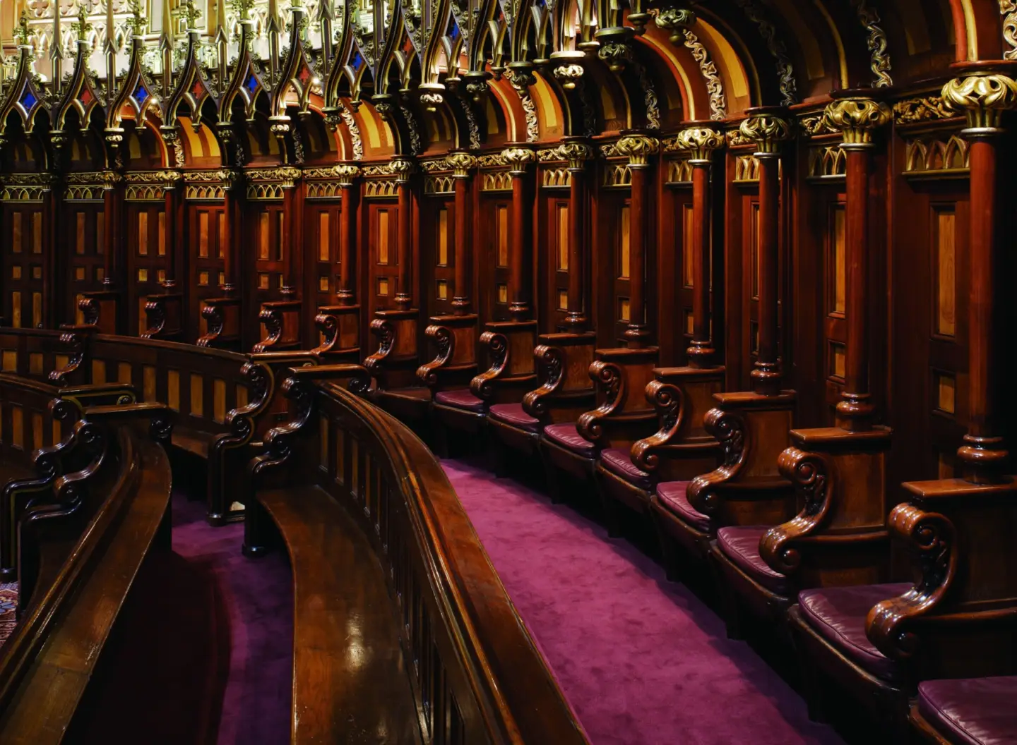 Photo N Rajotte 2009 01 21 MG 1007 Version 2 B