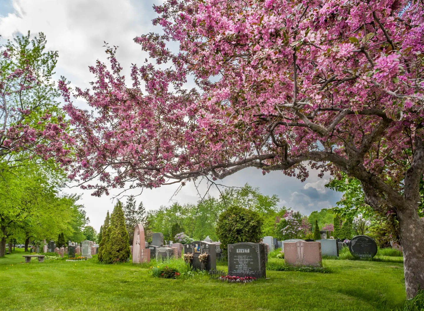 Sans titre 5367 Modifier