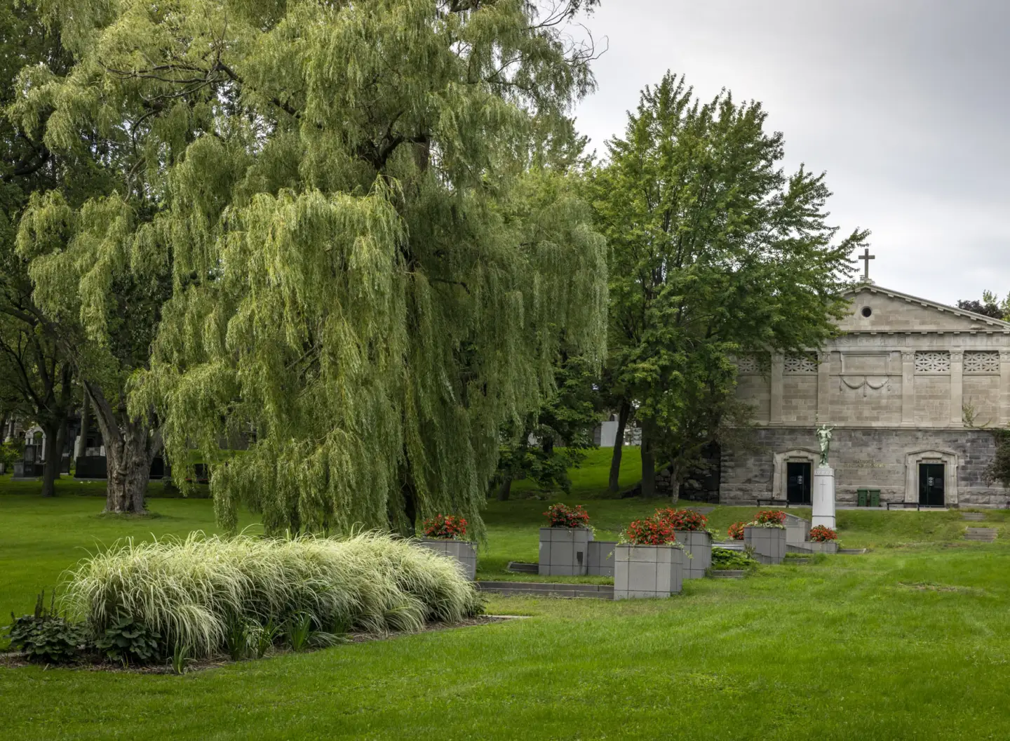 MD Cimetiere Notre Dame 347