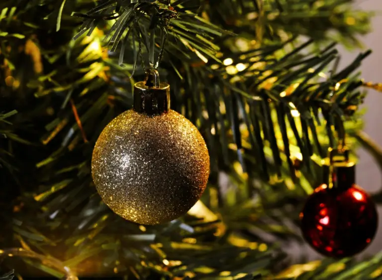 Pexels christina99999 29448480